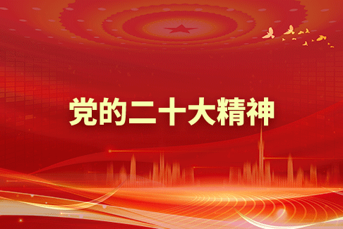 党的二十大精神
