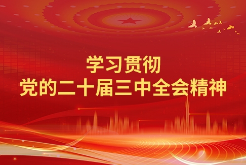 学习贯彻党的二十届三中全会精神